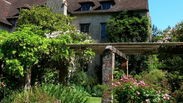 Bois des Moutiers (8) Summer 2012